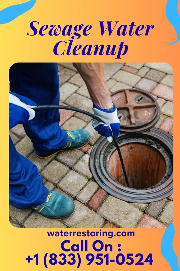 Sewage Water Cleanup in Tanquecitos South Acres, TX
